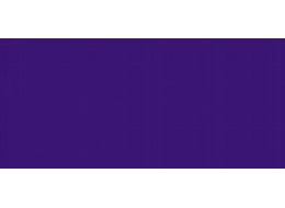 CAMPUS 100 ML 916 ULTRAMARINE VIOLET