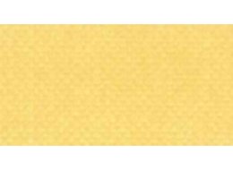 APA COLOR 150 ML MATT FERRARIO 050 RICH GOLD