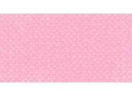 APA COLOR 150 ML MATT FERRARIO 055 PEARLY COLD PINK
