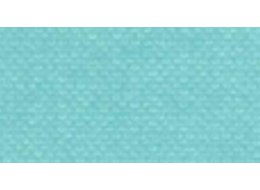 APA COLOR 150 ML MATT FERRARIO 058 PEARLY GREEN