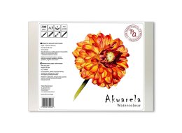 Papier do akwareli Cold Pressed Dalia 300g/m2 A3 5 ark.